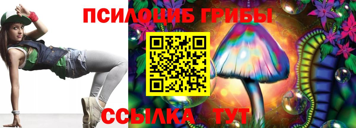 Сосновый Бор  Псилоцибиновые грибы Cubensis  что такое   Вход с VPN 